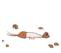 shrimp-friends sticker #6796983