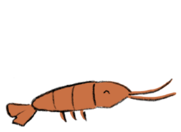 shrimp-friends sticker #6796988