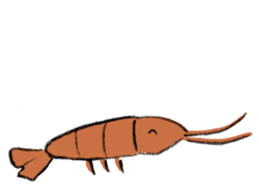 shrimp-friends sticker #6796988