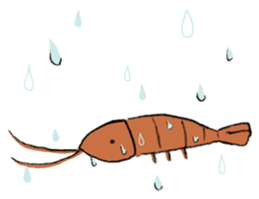 shrimp-friends sticker #6796996
