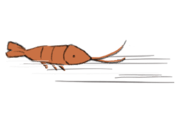 shrimp-friends sticker #6797002