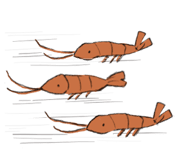 shrimp-friends sticker #6797003