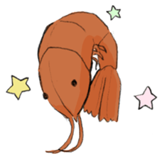 shrimp-friends sticker #6797007