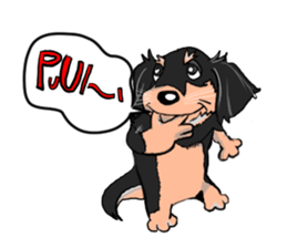 Dachshund Mr.Go<English Edition> sticker #6797169