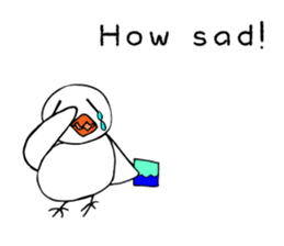 Feelings of birds(English version) sticker #6797275