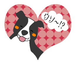 heart melted is Border Collie sticker #6802493