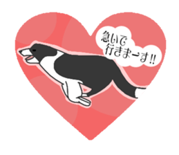 heart melted is Border Collie sticker #6802499