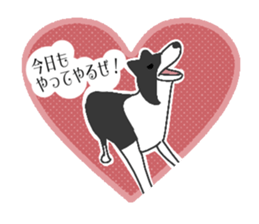 heart melted is Border Collie sticker #6802506