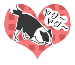 heart melted is Border Collie sticker #6802518