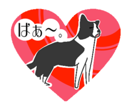 heart melted is Border Collie sticker #6802522