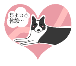 heart melted is Border Collie sticker #6802524