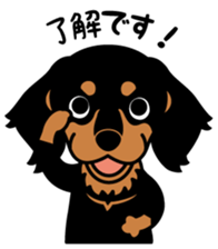 Love DACHS - BlackTans sticker #6805210