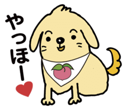 The dog's name is momotarou. sticker #6810852