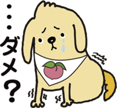 The dog's name is momotarou. sticker #6810863