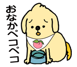 The dog's name is momotarou. sticker #6810883