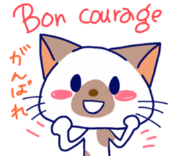 Cats in French sticker #6811907