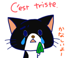 Cats in French sticker #6811916