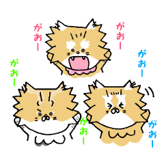 Kin's humorous friends