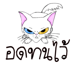 Good cat sticker #6815355