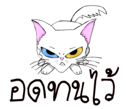 Good cat sticker #6815355