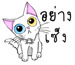 Good cat sticker #6815362