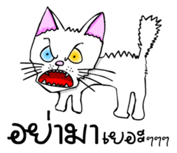 Good cat sticker #6815367