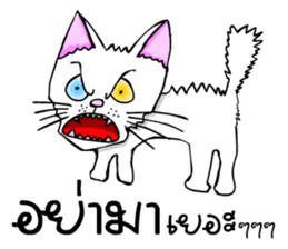 Good cat sticker #6815367