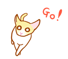 Macaron, a ginger kitten sticker #6818011