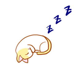 Macaron, a ginger kitten sticker #6818019