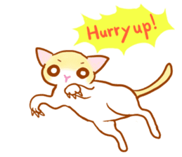 Macaron, a ginger kitten sticker #6818021