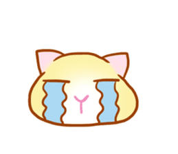 Macaron, a ginger kitten sticker #6818035