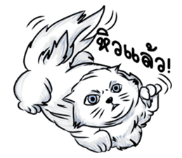 Suay and The Gang sticker #6819253