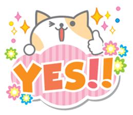 Cute Cat Conversation ver.2 sticker #6821582