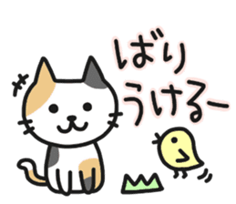 Hakata dialect NEKO sticker #6825092