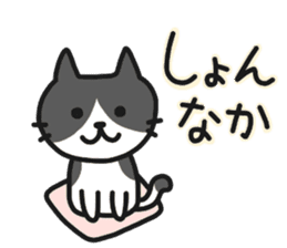 Hakata dialect NEKO sticker #6825117