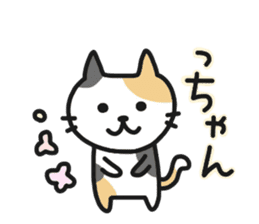 Hakata dialect NEKO sticker #6825126