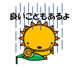 Cat named Rai wants to be lion. sticker #6825172