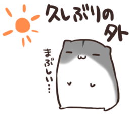 Summer vacation of you and hamster sticker #6827763