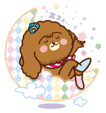 27% Toy poodle sticker #6829769