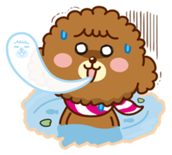 27% Toy poodle sticker #6829789