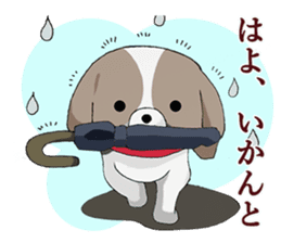 Shin Tzu dog that speaks the Kyoto valve sticker #6830841