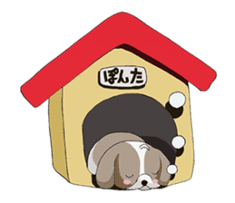Shin Tzu dog that speaks the Kyoto valve sticker #6830845