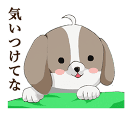 Shin Tzu dog that speaks the Kyoto valve sticker #6830849