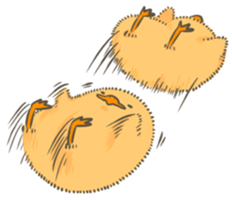 Piyo Piyo 2 sticker #6831001