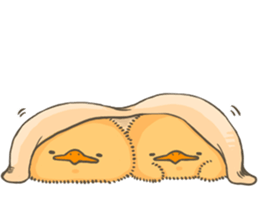 Piyo Piyo 2 sticker #6831010