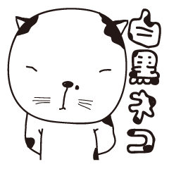 Feeling of  white  and  black cat