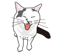 Feeling of  white  and  black cat sticker #6831121