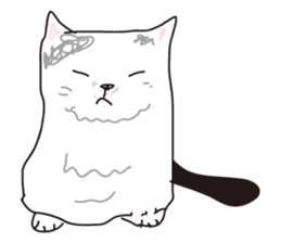Feeling of  white  and  black cat sticker #6831122