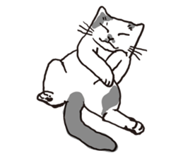 Feeling of  white  and  black cat sticker #6831124