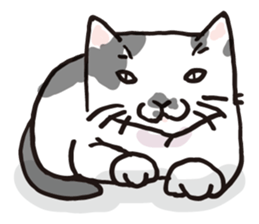 Feeling of  white  and  black cat sticker #6831129